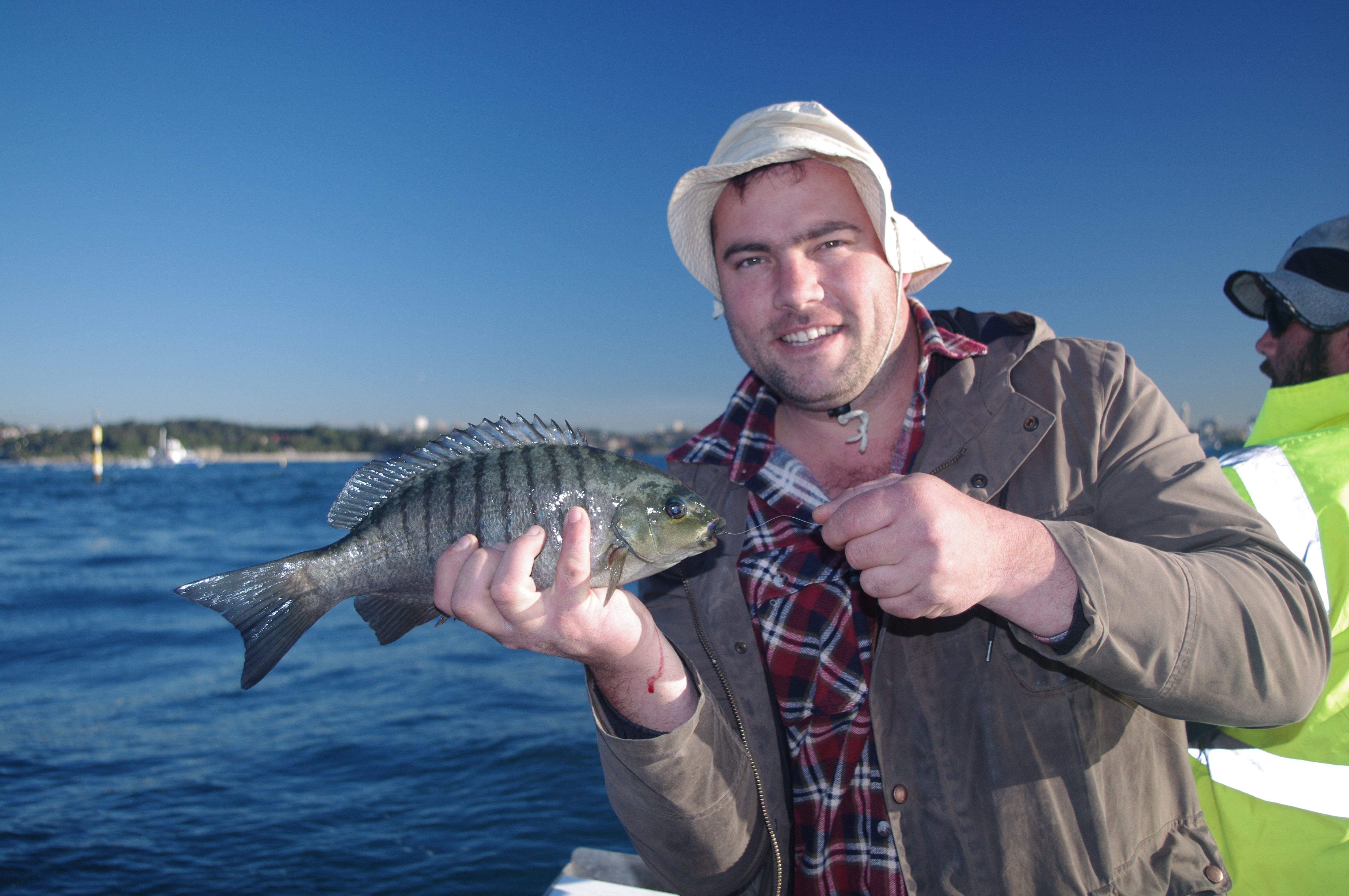 Monthly Report - Aug 18 - Fishabout Fishing Charters Sydney