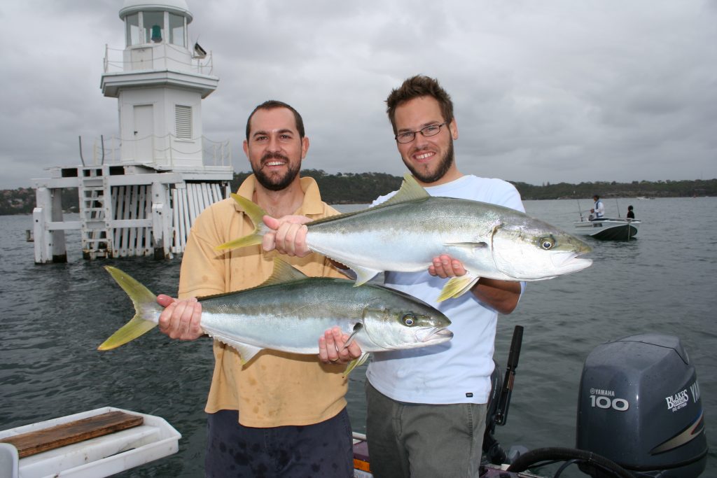How To catch Squid and Cuttlefish in Sydney Harbour - Fishabout Fishing  Charters Sydney Harbour With Craig McGill